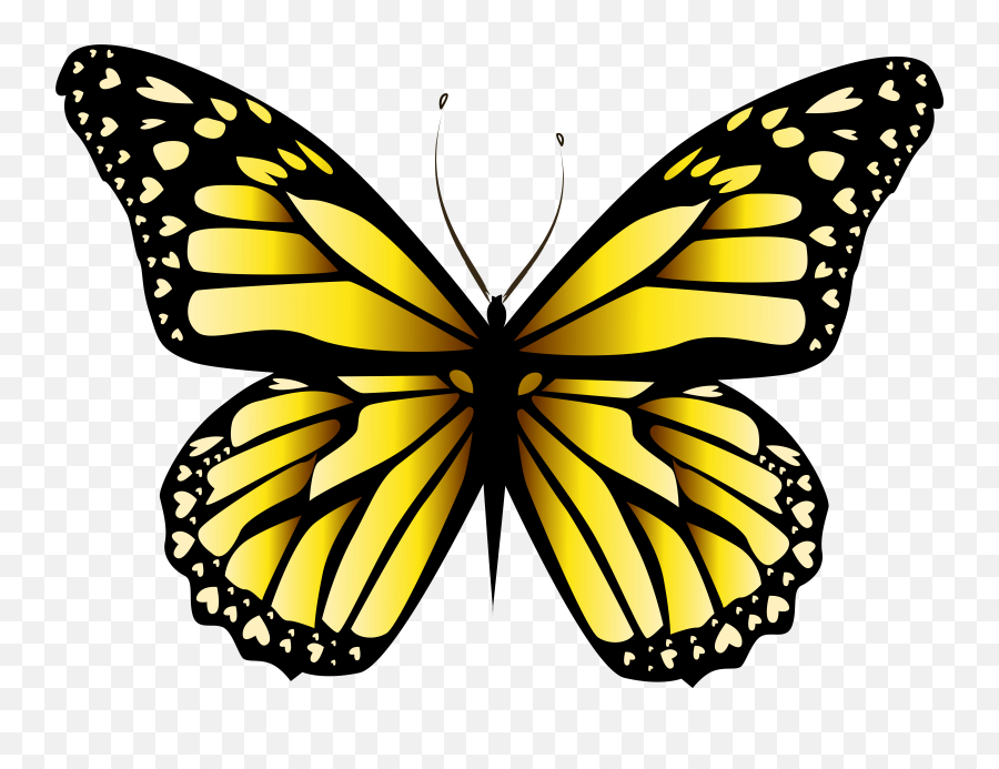 Yellow Butterfly Png Clipar Image - Yellow Butterfly Png,Yellow Butterfly Png