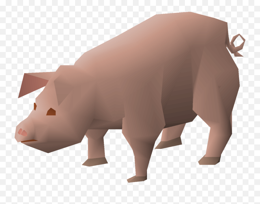 Pig - Domestic Pig Png,Pigs Png