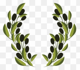 Olive Branch Clip Art - Vector olive decoration png Free Branch Art
