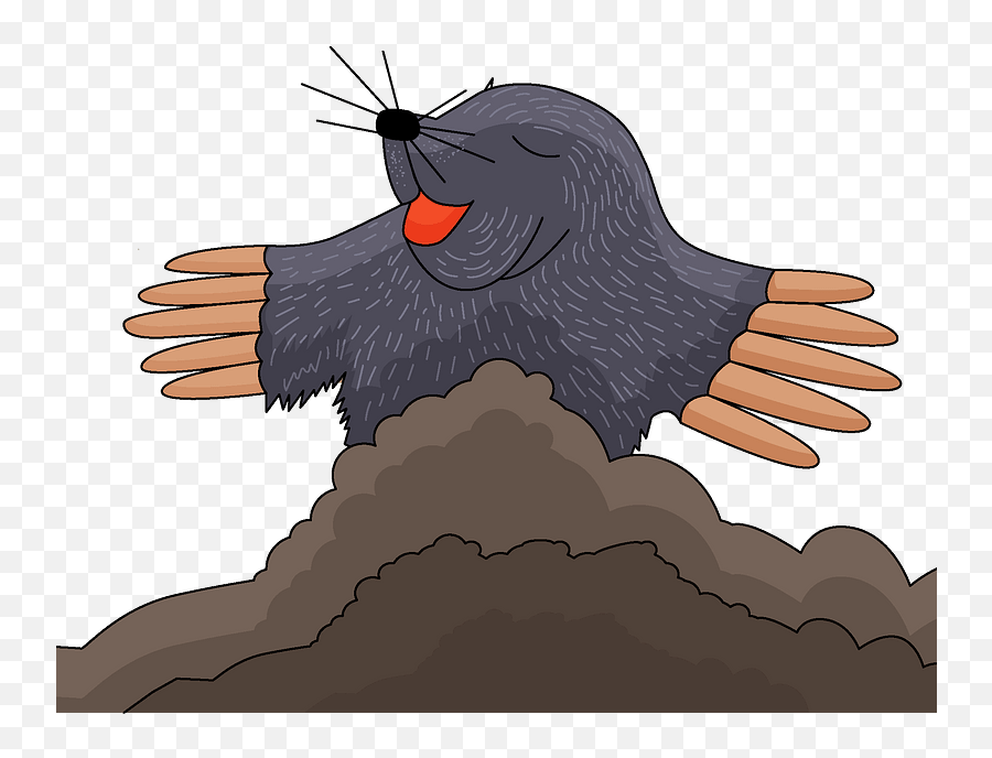 Clipart - Illustration Png,Mole Png