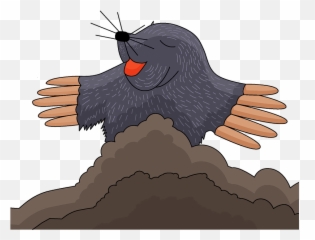 Clipart - Illustration Png,Mole Png