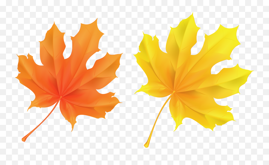 Fall Leaf Clipart No Background - Transparent Background Fall Leaves Clipart Png,Leaf Clipart Transparent