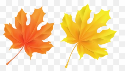 Fall Leaf Clipart No Background - Transparent Leaves png