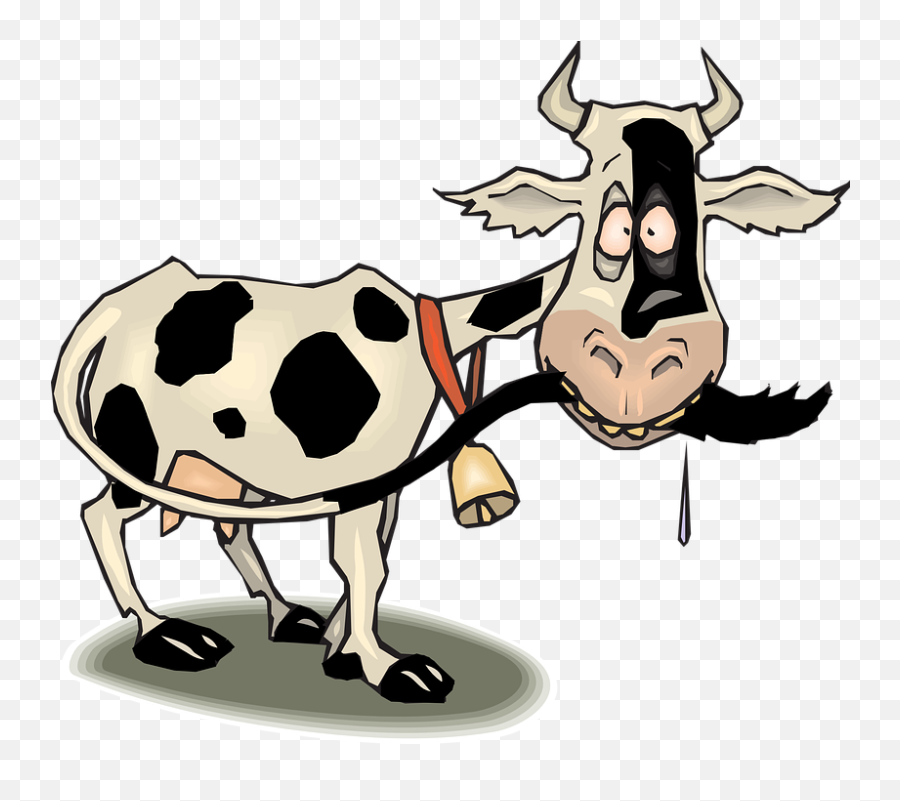 Farm Animals Clipart Funny Cow - Funny Cow Clipart Png,Cows Png