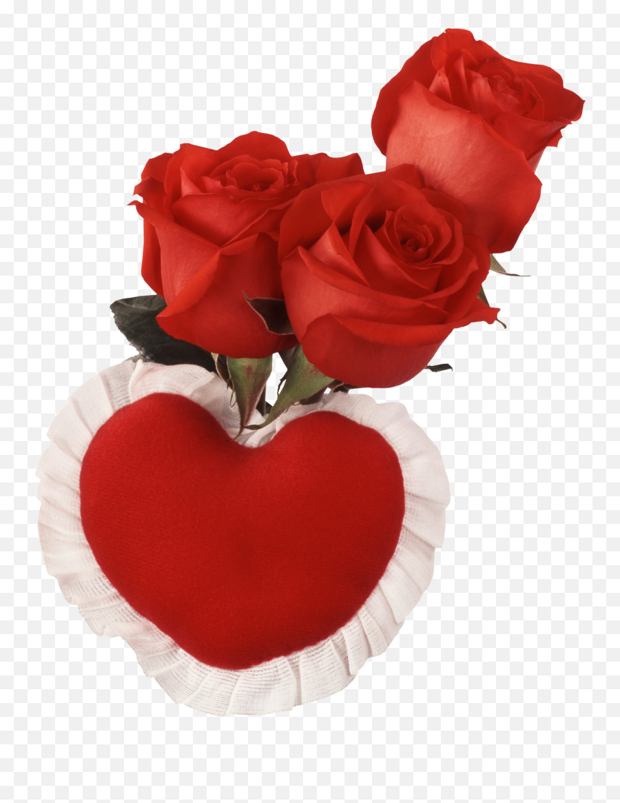 Download Flores Rosas Rojas Png - Happy Thursday With Roses Coeur Fleur D Amour,Rosas Png