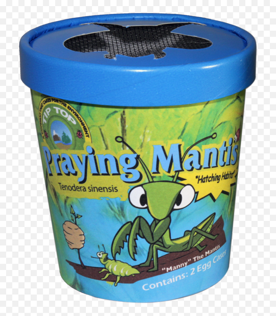 Praying Mantis - Cylinder Png,Praying Mantis Png