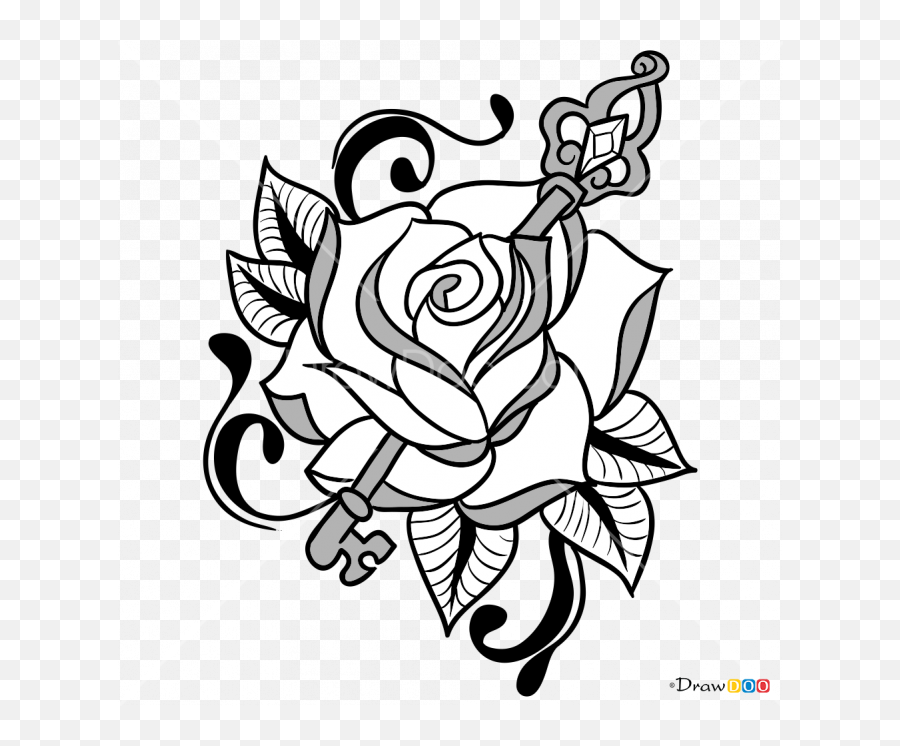 Download 665 X 2 - Rose And Key Drawing Png,Rose Drawing Png