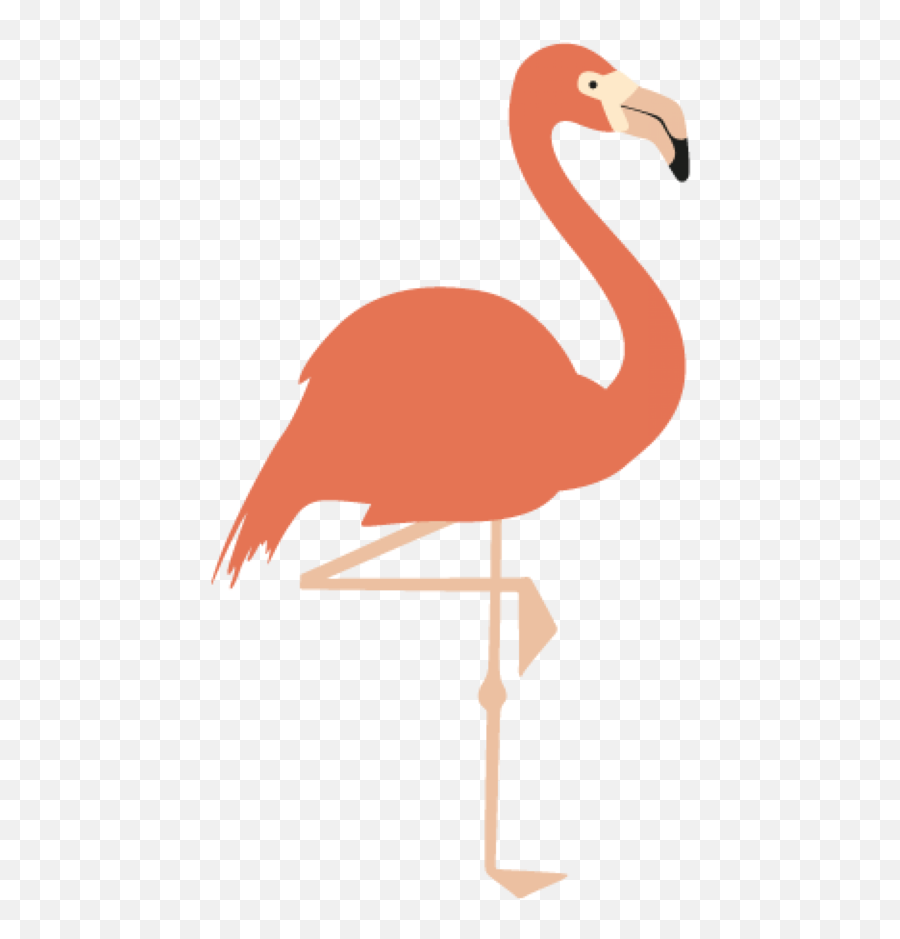 Bird Flamingo Water Neck Clipart - Transparent Background Flamingo Clip Art Png,Flamingo Clipart Png