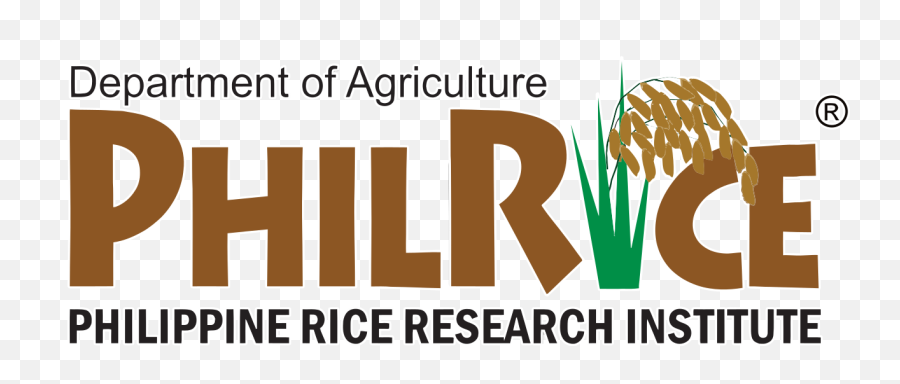 Filephilrice Logosvg - Wikipedia Phil Rice Research Institute Png,Rice Logo