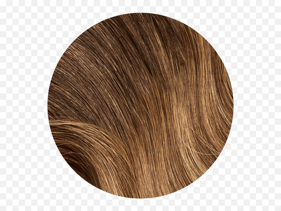 Mocha Bronde Balayage Human Hair Ponytail Clip In Extension Png