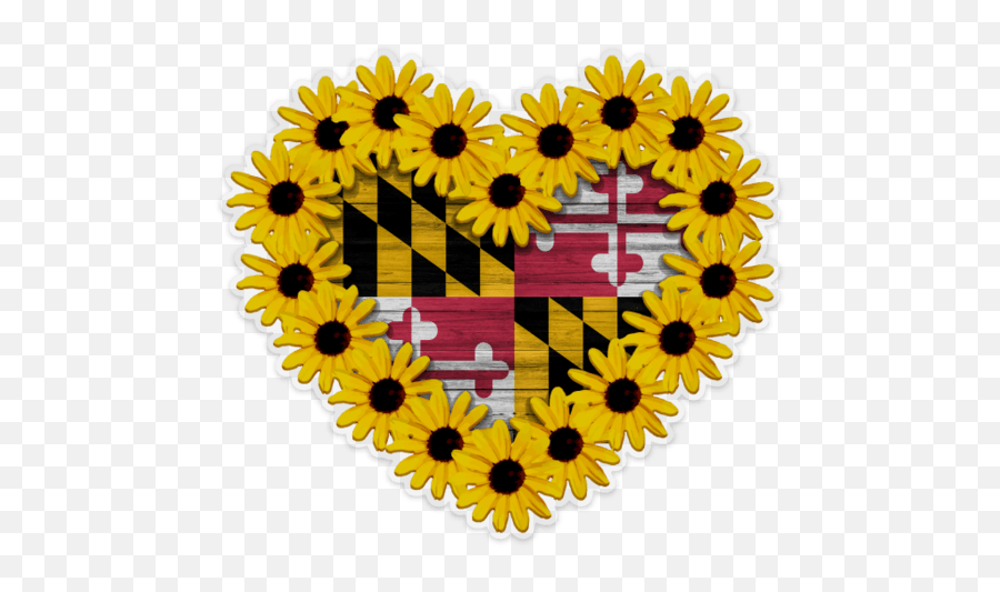 Black Eyed Susan Maryland Flag - Maryland State Flag Png,Maryland Flag Png