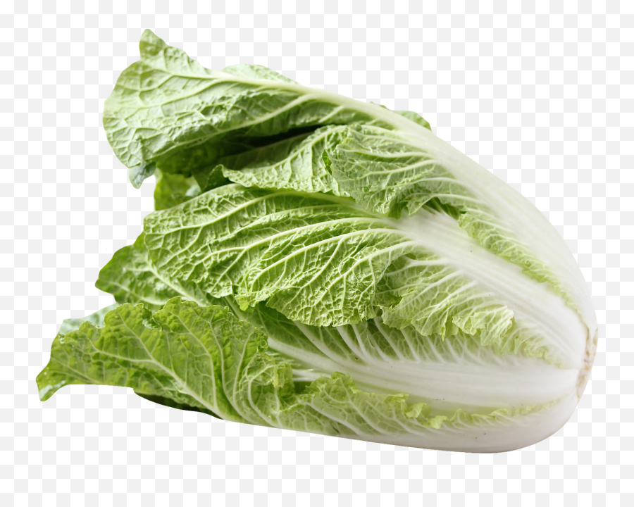 Napa Cabbage Png Image Vegetables - Napa Cabbage Png,Vegetables Transparent Background