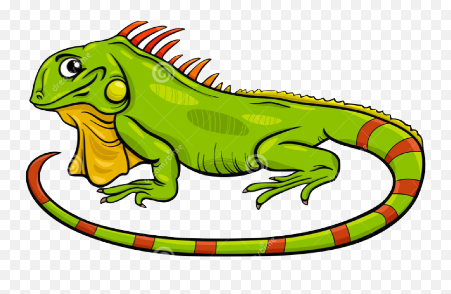 Garden Clipart Lizard - Cartoon Images Of Iguana Png,Lizard Transparent -  free transparent png images 