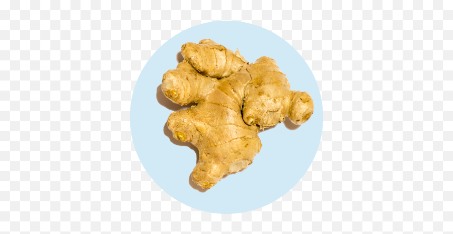 Vital Turmeric Gummies U2022 Wellpath - Galangal Png,Ginger Root Icon