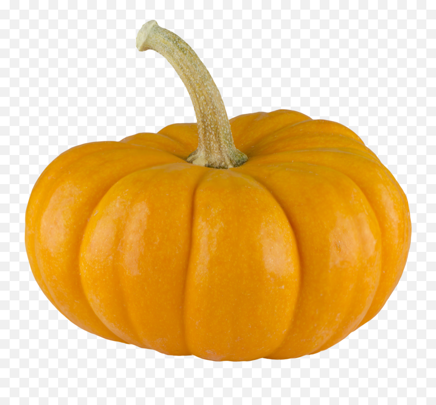 Real Pumpkin Transparent Background - Pumpkin Png,Thanksgiving Transparent Background