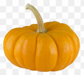 Real Pumpkin Transparent Background - Png