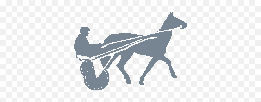 Horse Profile Search - Horse Harness Png,Racehorse Icon