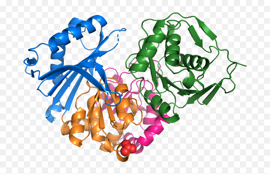 Biomolecules Free Full - Text Structure And Dot Png,Kda Icon