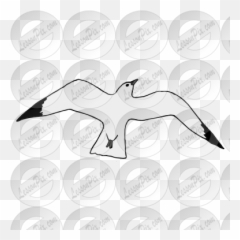 Lessonpix Mobile - Northern Gannet Png,Seagull Png
