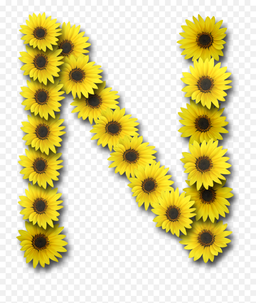 N Letter Transparent Free Png All - Alphabet Sunflower Letters,Stock Photo Png