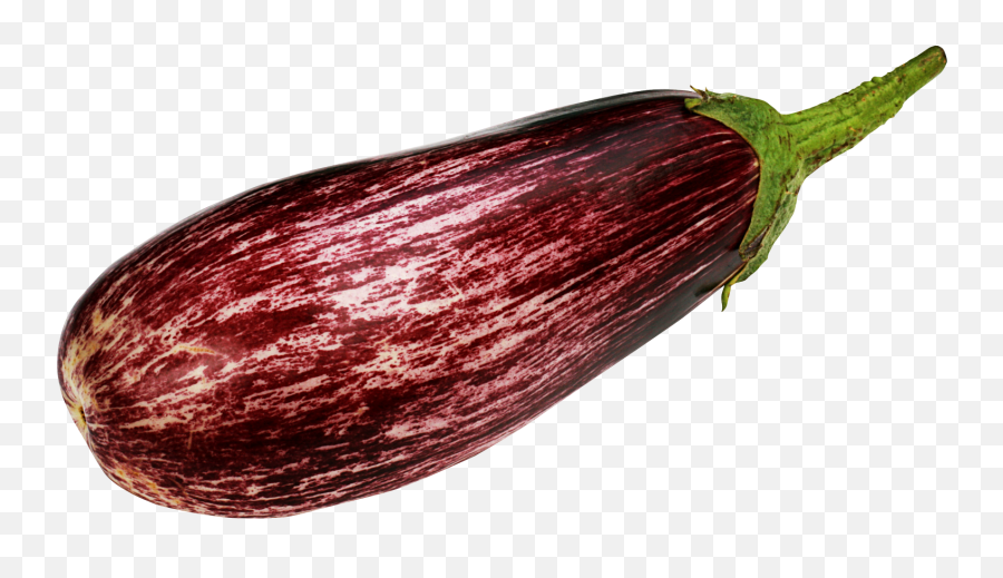Download Purple Eggplant Png Image For Free - Brinjal Png,Eggplant Png