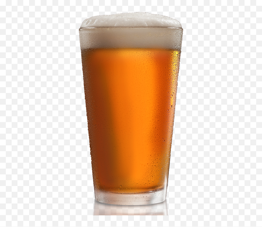 Beers - Pint Glass Png,Beer Pint Png