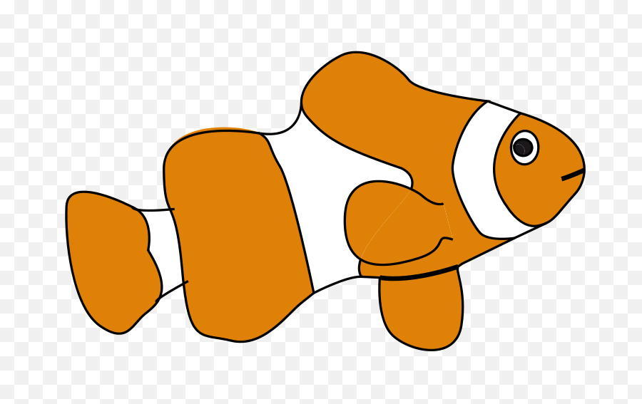 Clown Fish Outline - Clipart Clipart Panda Free Clipart Clip Art Clown Fish Png,Fish Outline Png