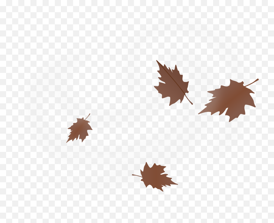 Leaves Windy Autumn Maple - Free Vector Graphic On Pixabay Wind Leaf Png,Maple Leaf Png