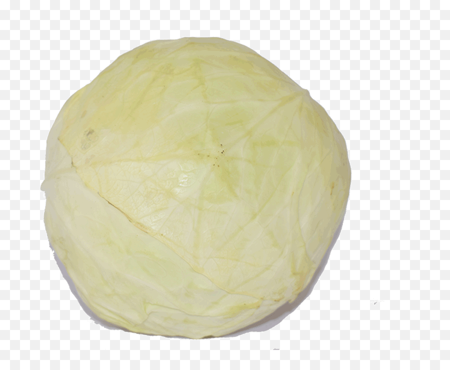 Organic White Cabbage - Savoy Cabbage Png,Cabbage Transparent