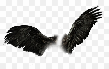 Black Masquerade Mask Png 2 Image
