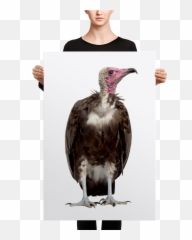 Vulture Mug - Arabic Calligraphy Allah Names Png,Vulture Png