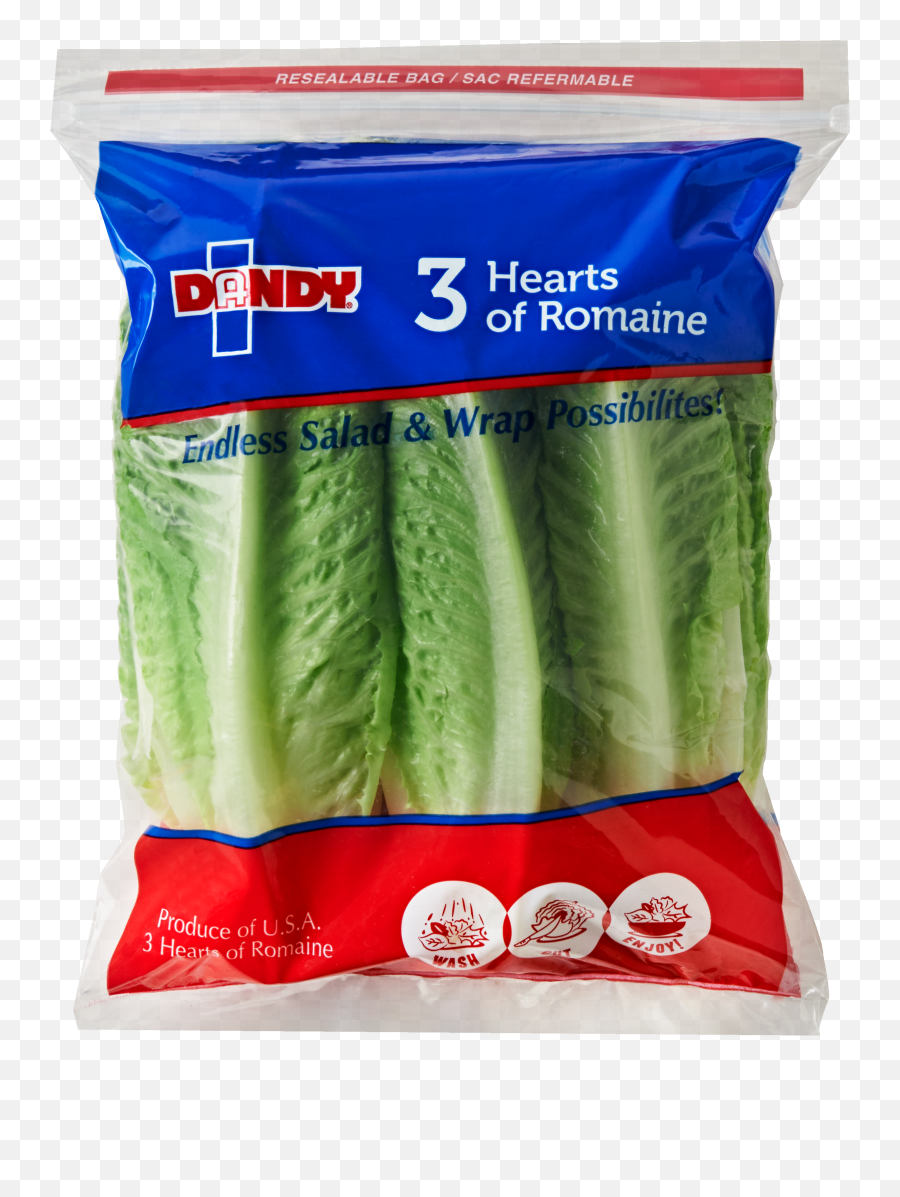 Romaine Hearts Png Lettuce