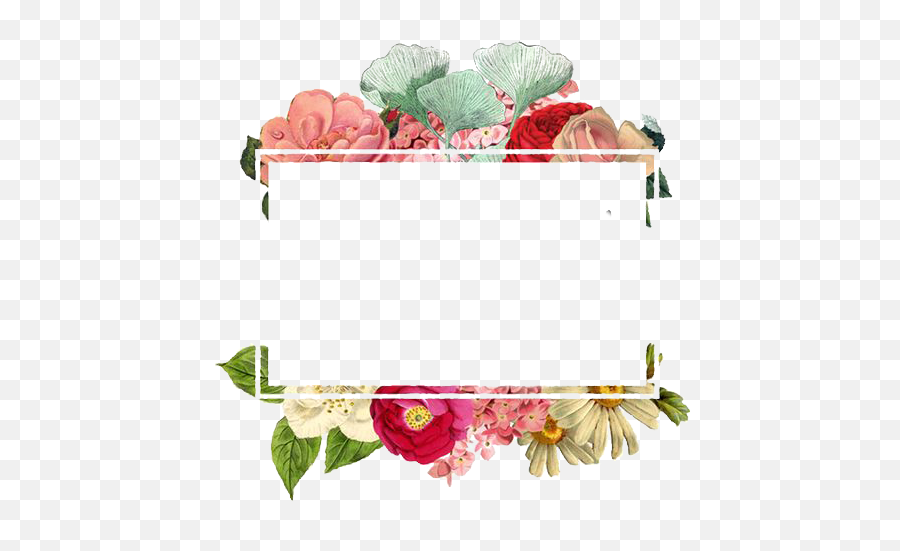 Download Paper Logo Flowers Flower Border Free Png - Design Square Border Png,Floral Border Transparent Background