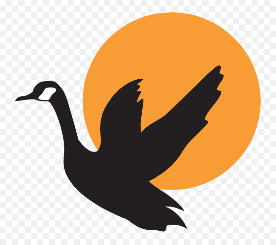 Free Download Of Goose Icon Clipart - Flying Swan Vector Png,Goose Png