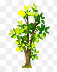 Walnut 129dofus Wiki Fandom - Tree Png,Walnut Png