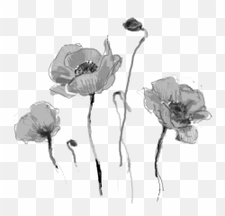 Flowers Png - Dead Tumblr HD Download