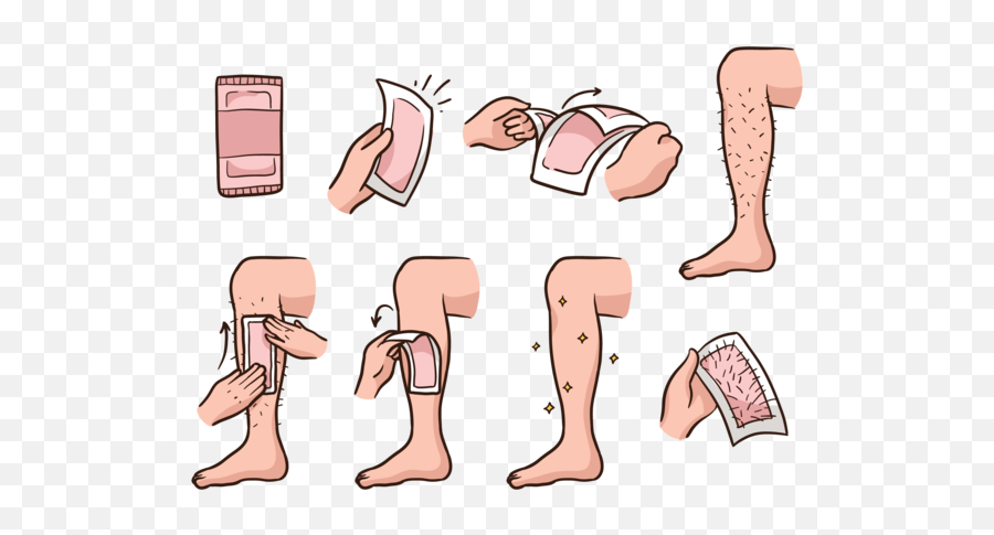 Lower Leg Waxing Step - Download Free Vectors Clipart Waxing Cartoon Png,Step Png