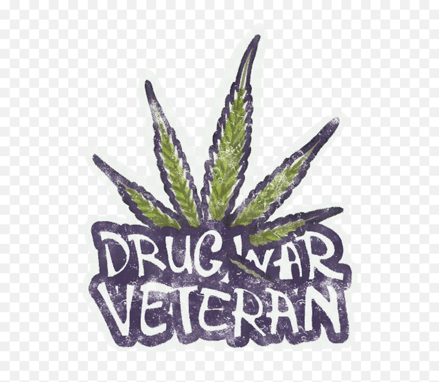 Sealed Graffiti Drug War Veteran - Buy U0026 Sell Csgo Drug War Veteran Png,Grafitti Png
