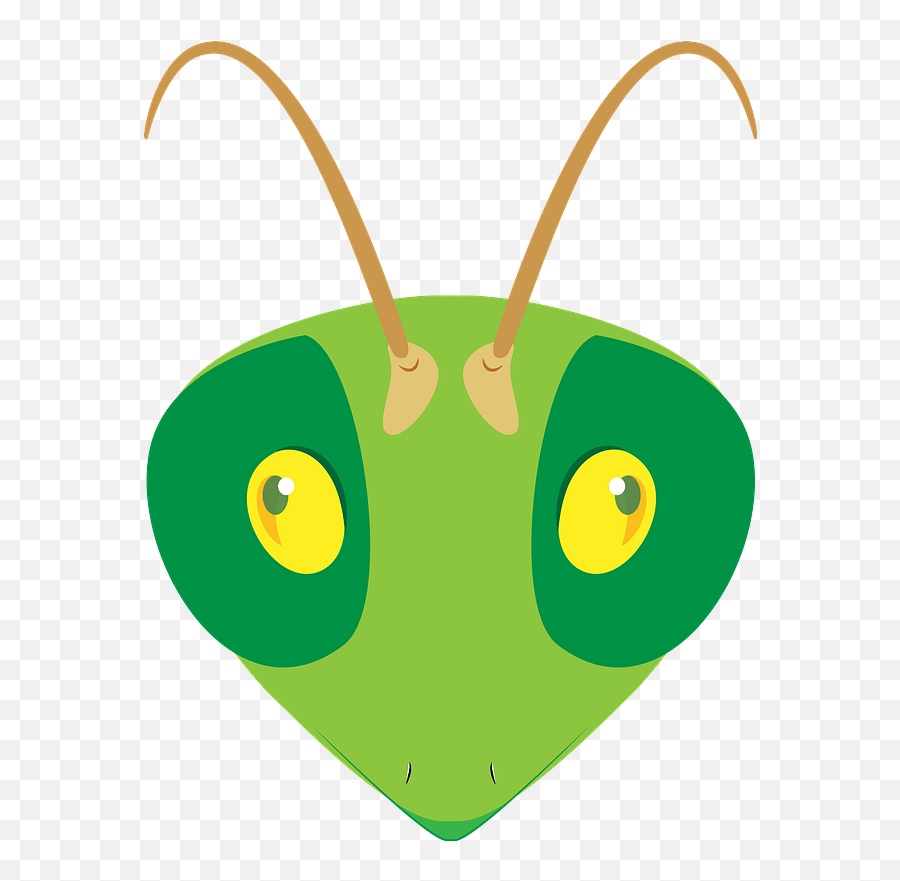 Praying Mantis Face Clipart - Happy Png,Praying Mantis Png