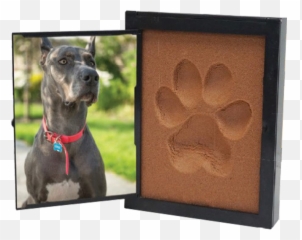 Paw Print - Mat png