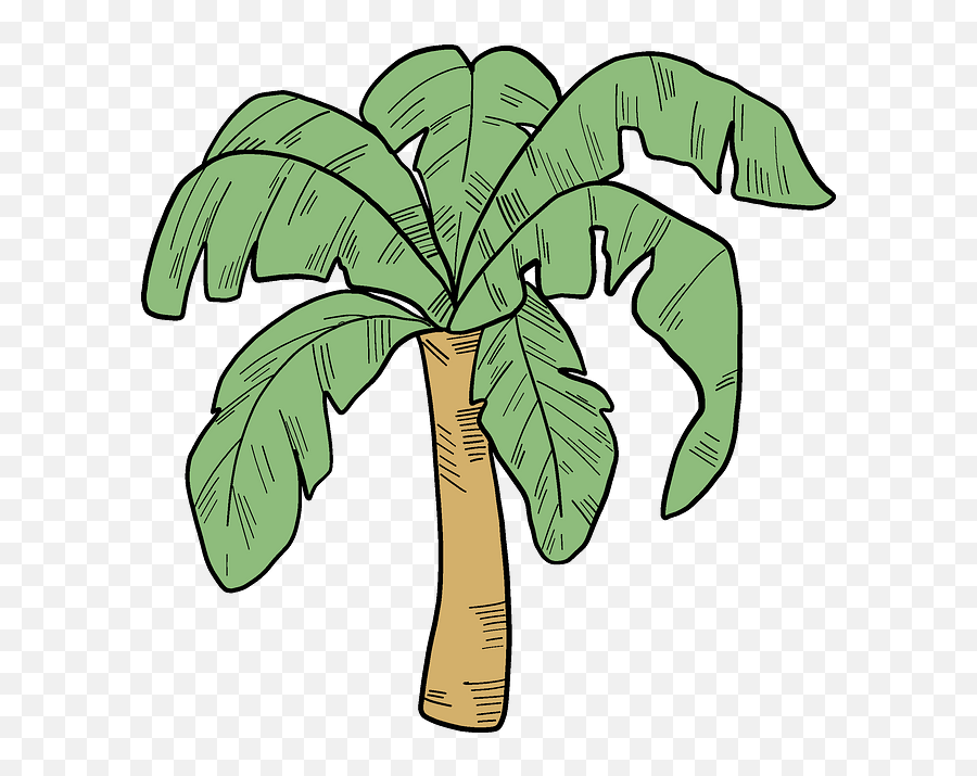 Palm Tree Clipart Free Download In Png Or Vector Format - Clip Art,Palm Tree Leaves Png