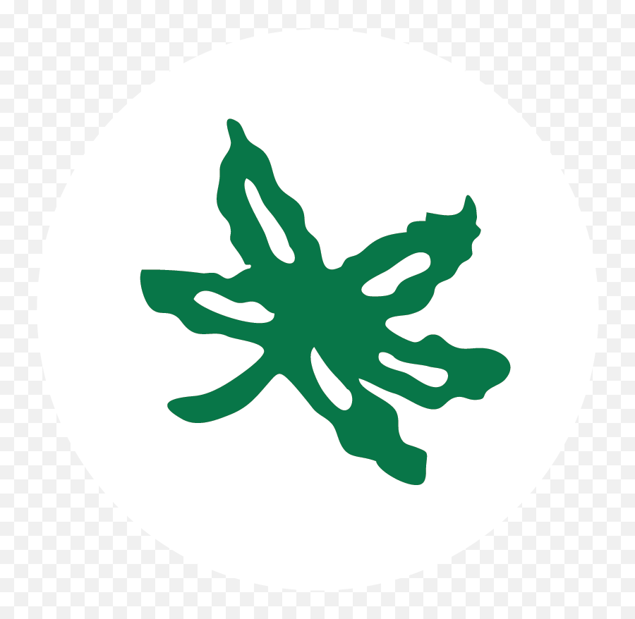 Buckeye Leaf Vs Marijuana - Ohio State Buckeye Leaf Shirt Png,Osu Logo Png