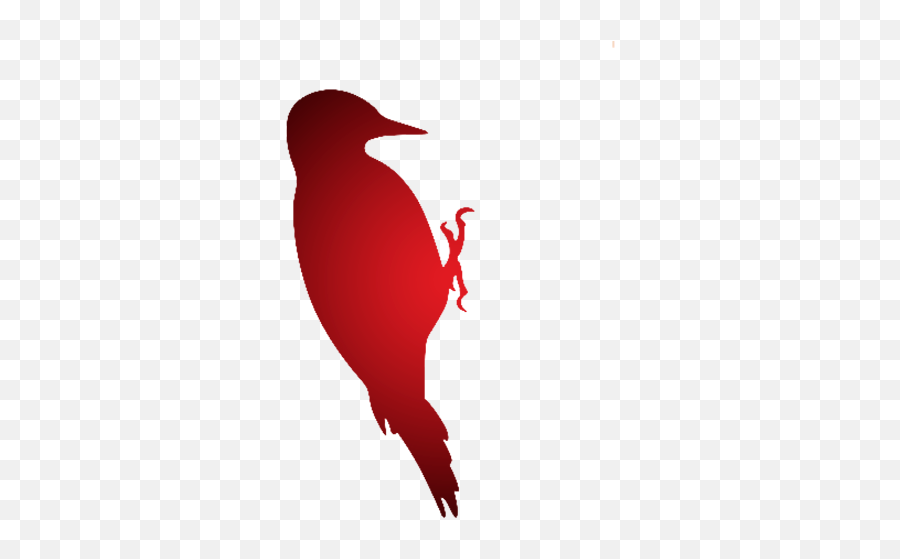 Contractors Termite And Pest Control - Phoenix Az Automotive Decal Png,Woodpecker Icon