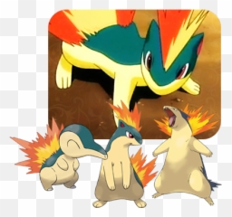 Pokemon Of The Week - Pokemon Cyndaquil Evolution Line Png,Cyndaquil Png