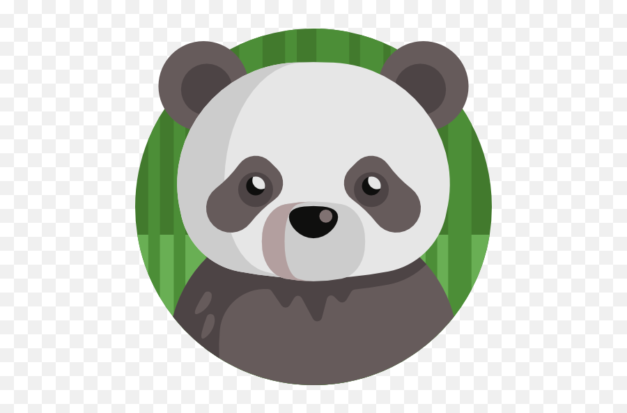Panda - Icono De Panda Png,Panda Buddy Icon