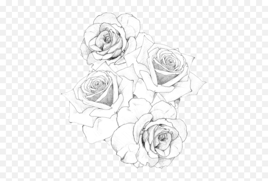 Roses Tattoo Png 2 Image - Rose Tattoo Hd,Rose Tattoo Png