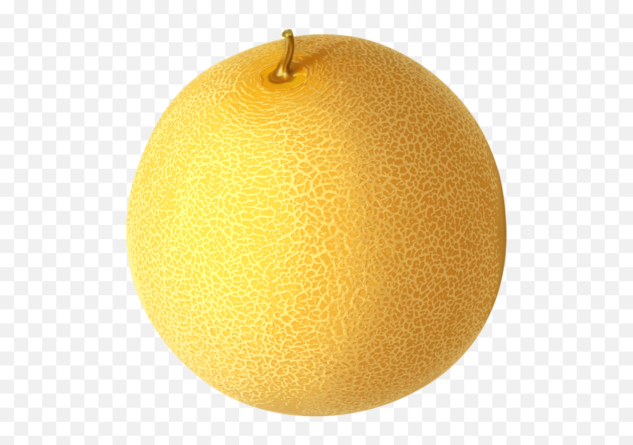 Cantaloupe Png Clipart Picture - Science City,Cantaloupe Png