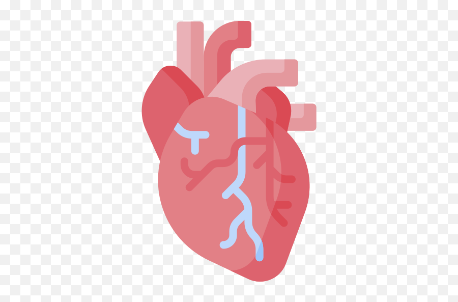 Heart - Free Healthcare And Medical Icons Heart Medical Icon Png,Medical Icon Pack