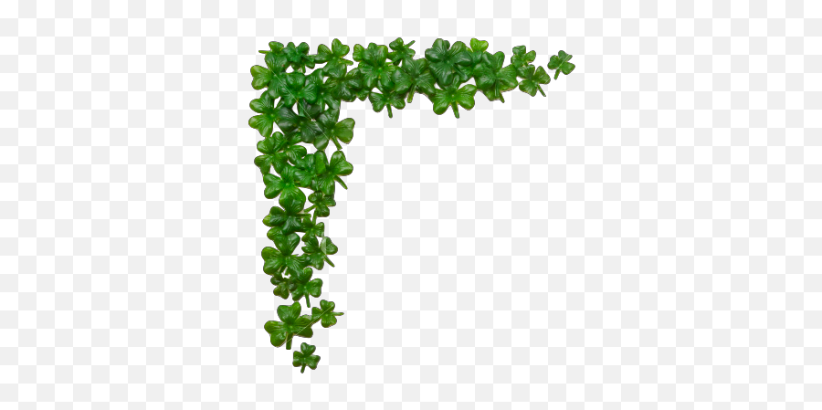 Mockingodu0027s Files - Smw Central Happy St Day Irish Blessing Png,Clover Png