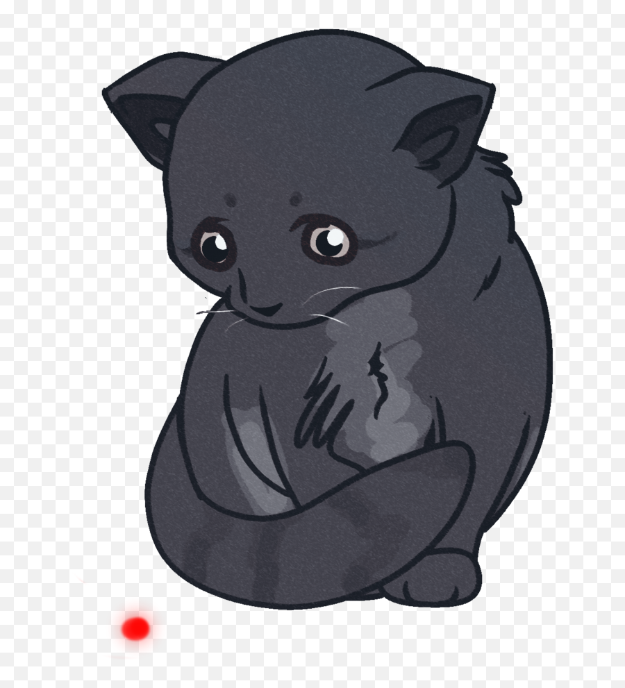 Black Cat Kitten Whiskers Carnivora - Black Cat Png,Totoro Png